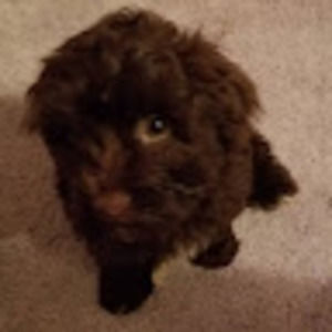 Meet your Posher, Madison